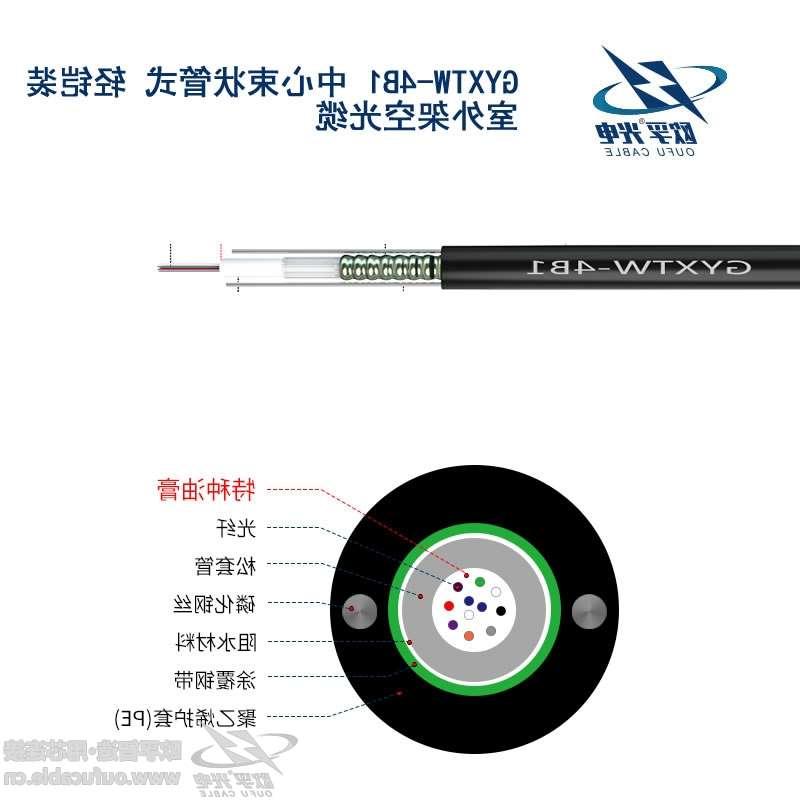 衡阳市GYXTW-4B1六芯单模室外光缆多少钱 有什么特点